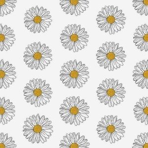 Meet your Posher, Alexa